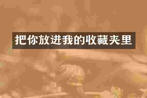 把你放进我的收藏夹里