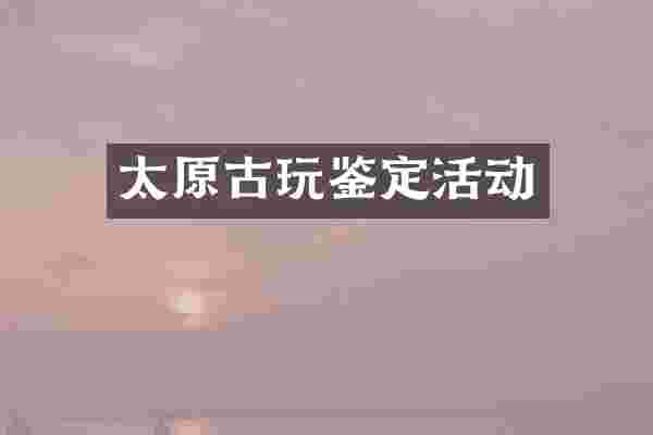 太原古玩鉴定活动