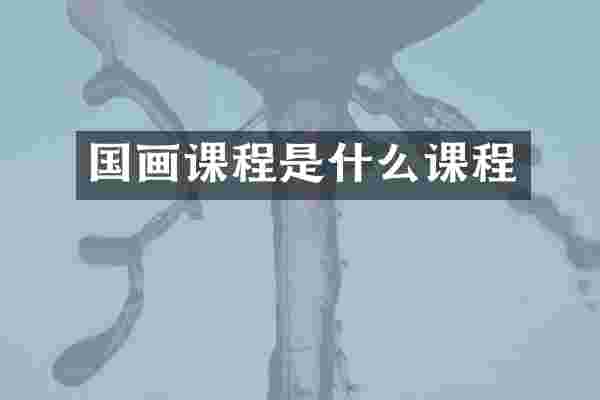 国画课程是什么课程