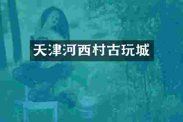 天津河西村古玩城