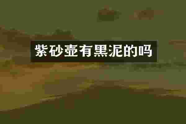 紫砂壶有黑泥的吗