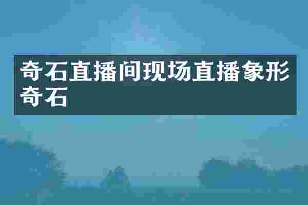 奇石直播间现场直播象形奇石