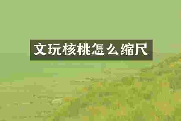 文玩核桃怎么缩尺