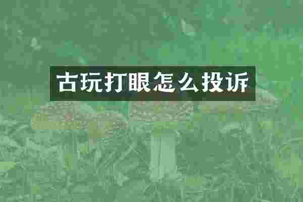 古玩打眼怎么投诉