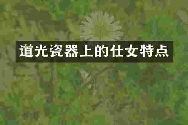 道光瓷器上的仕女特点