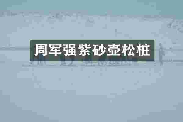 周军强紫砂壶松桩