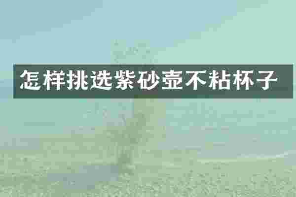 怎样挑选紫砂壶不粘杯子
