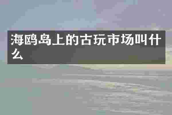 海鸥岛上的古玩市场叫什么