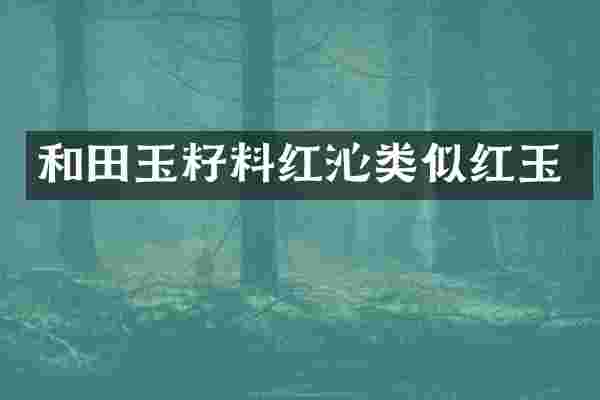 和田玉籽料红沁类似红玉