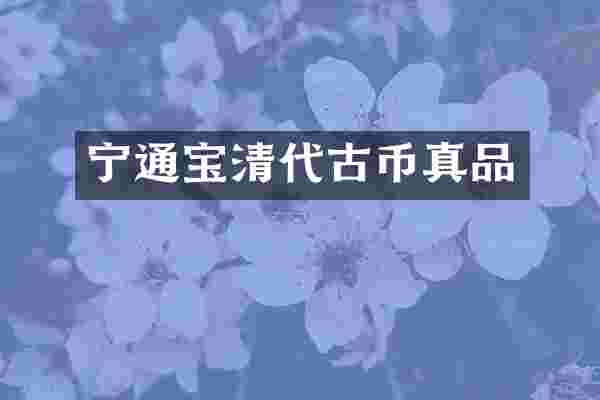 宁通宝清代古币真品