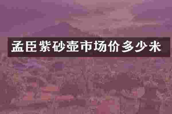 孟臣紫砂壶市场价多少米