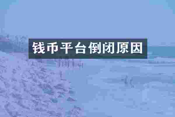 钱币平台倒闭原因