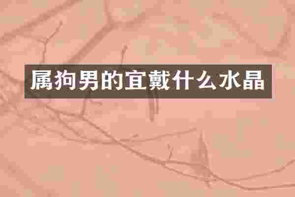属狗男的宜戴什么水晶