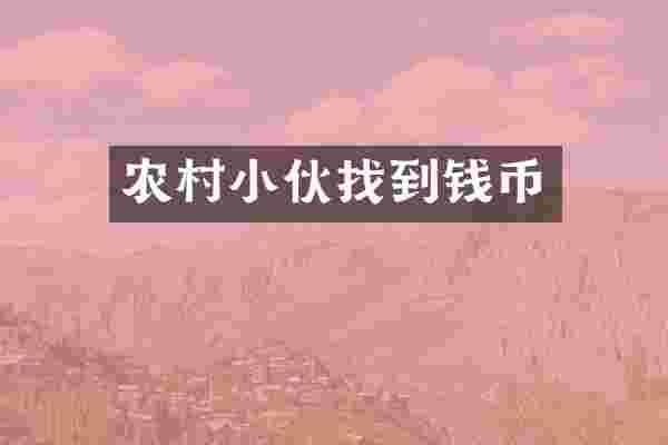 农村小伙找到钱币