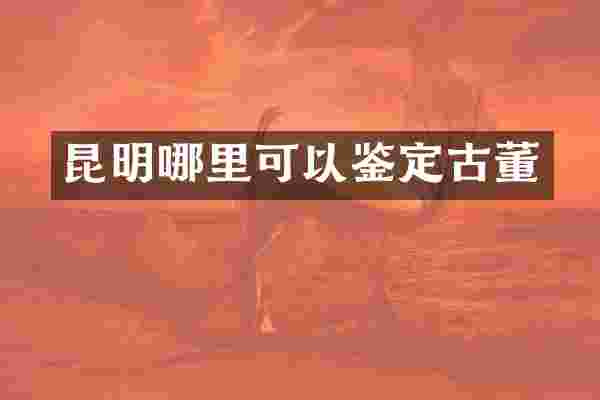 昆明哪里可以鉴定古董