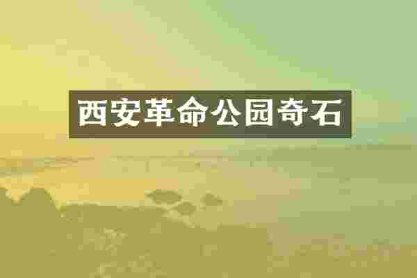 西安革命公园奇石