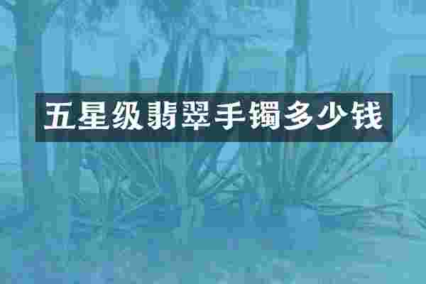 五星级翡翠手镯多少钱
