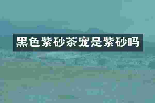 黑色紫砂茶宠是紫砂吗
