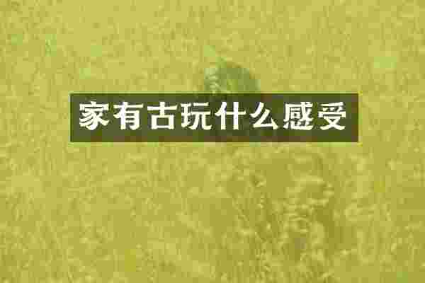 家有古玩什么感受