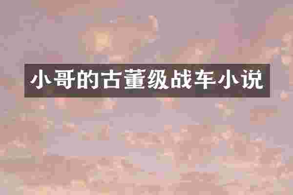 小哥的古董级战车小说