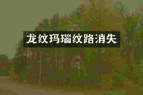 龙纹玛瑙纹路消失