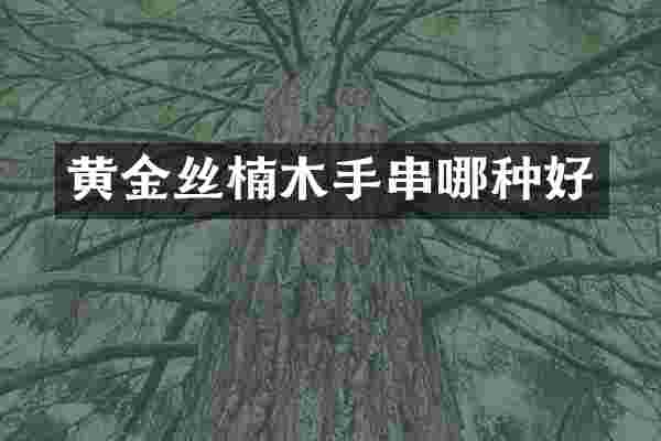黄金丝楠木手串哪种好
