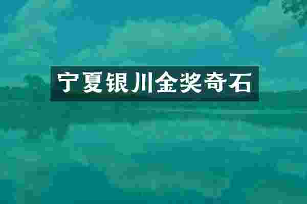宁夏银川金奖奇石