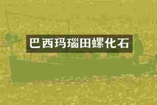巴西玛瑙田螺化石