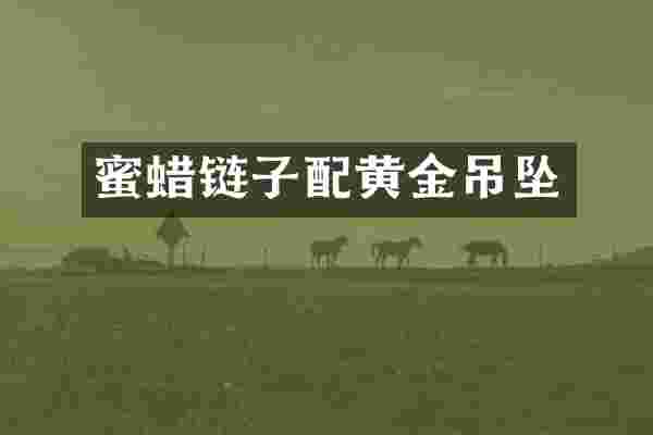 蜜蜡链子配黄金吊坠