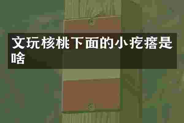 文玩核桃下面的小疙瘩是啥