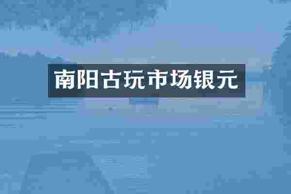 南阳古玩市场银元