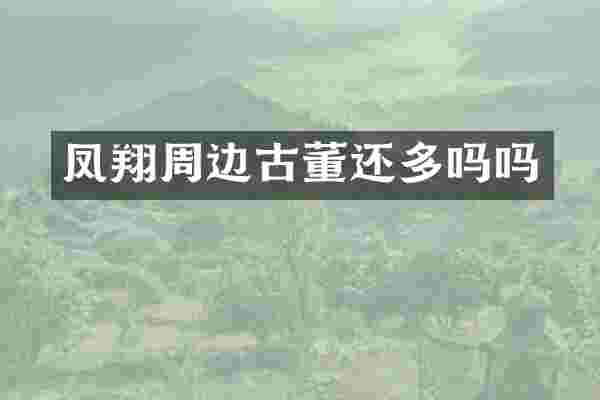 凤翔周边古董还多吗吗