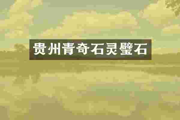 贵州青奇石灵璧石