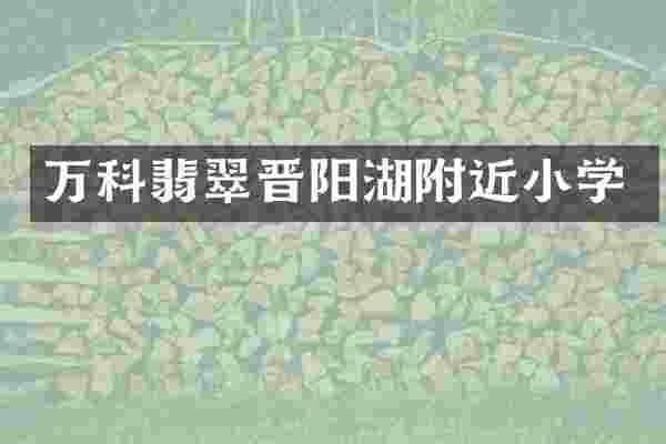 万科翡翠晋阳湖附近小学