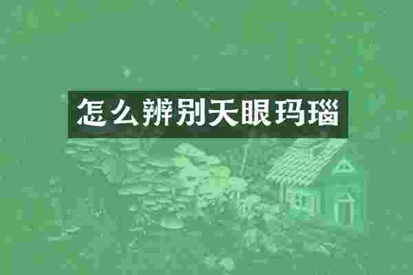 怎么辨别天眼玛瑙