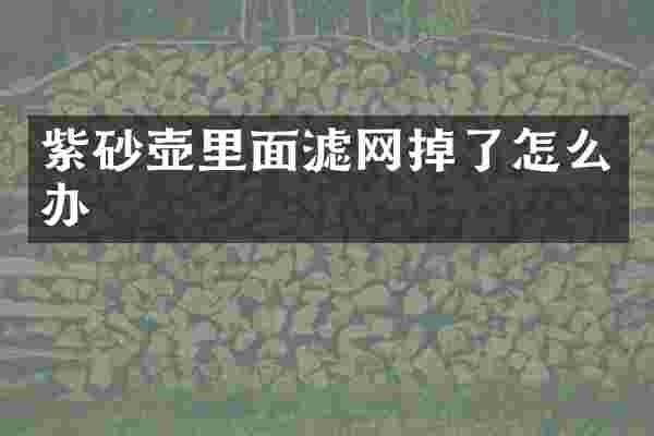 紫砂壶里面滤网掉了怎么办