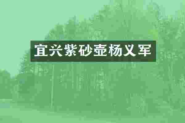 宜兴紫砂壶杨义军