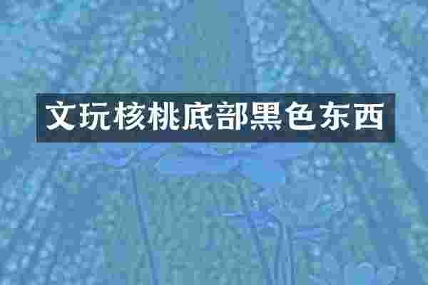 文玩核桃底部黑色东西