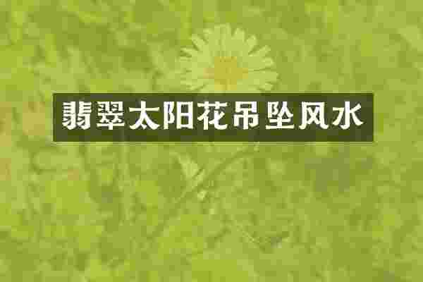 翡翠太阳花吊坠风水