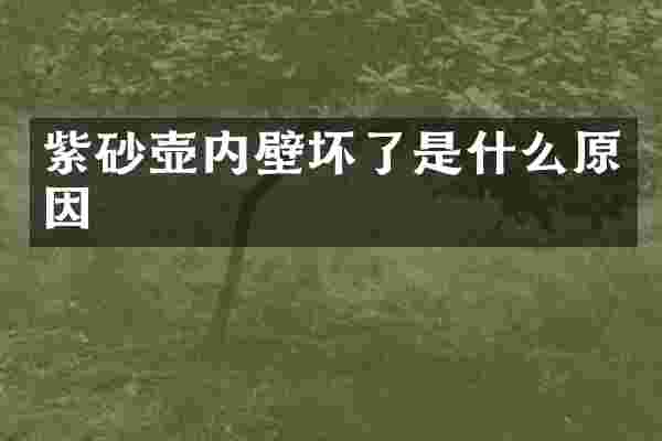 紫砂壶内壁坏了是什么原因