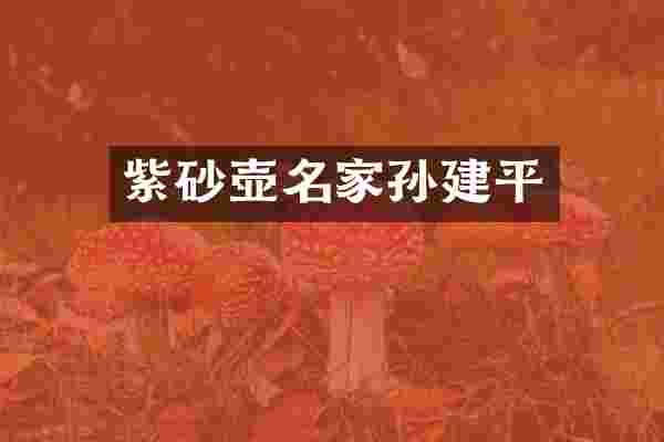 紫砂壶名家孙建平