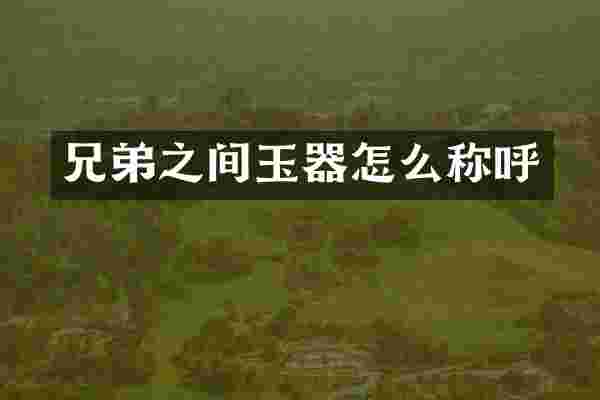 兄弟之间玉器怎么称呼