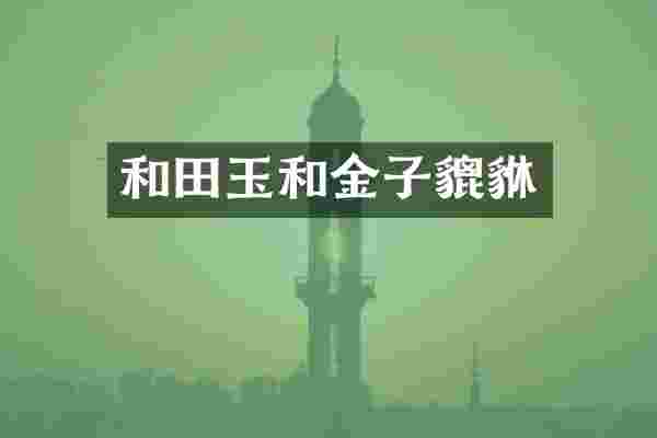 和田玉和金子貔貅