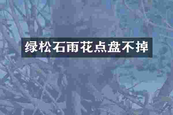 绿松石雨花点盘不掉