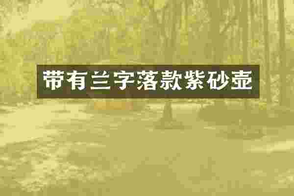 带有兰字落款紫砂壶