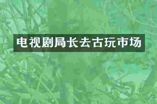 电视剧局长去古玩市场