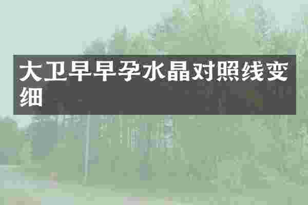 大卫早早孕水晶对照线变细