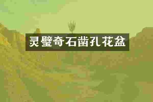 灵璧奇石凿孔花盆