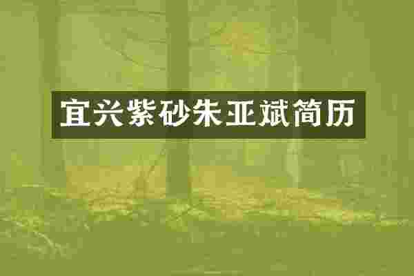 宜兴紫砂朱亚斌简历