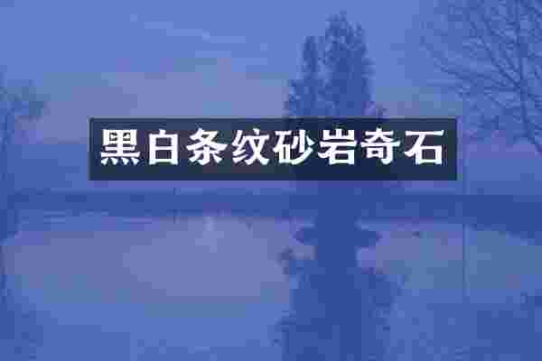 黑白条纹砂岩奇石